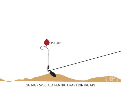 Pescuit :) - zig-rig1.jpg